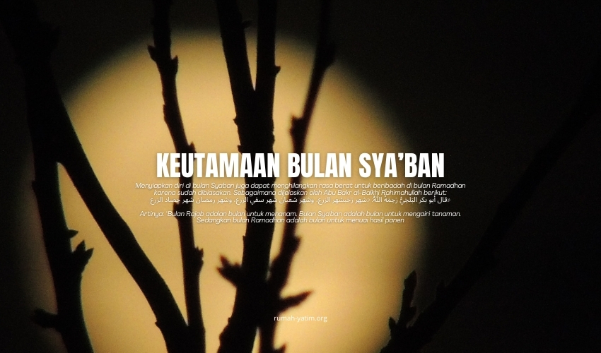 image-news