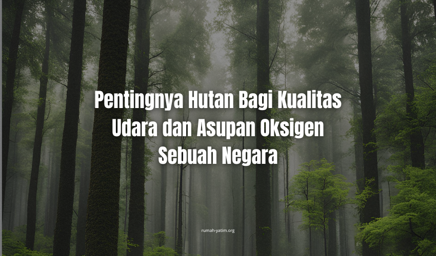 image-news