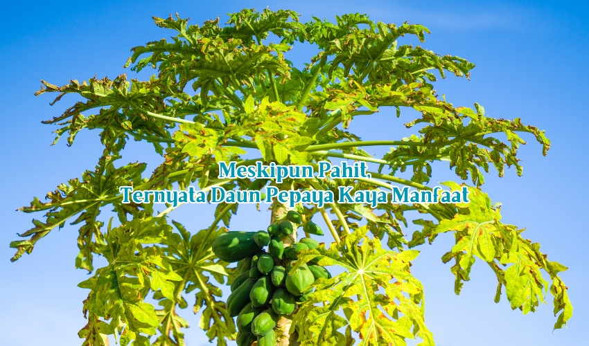 image-news