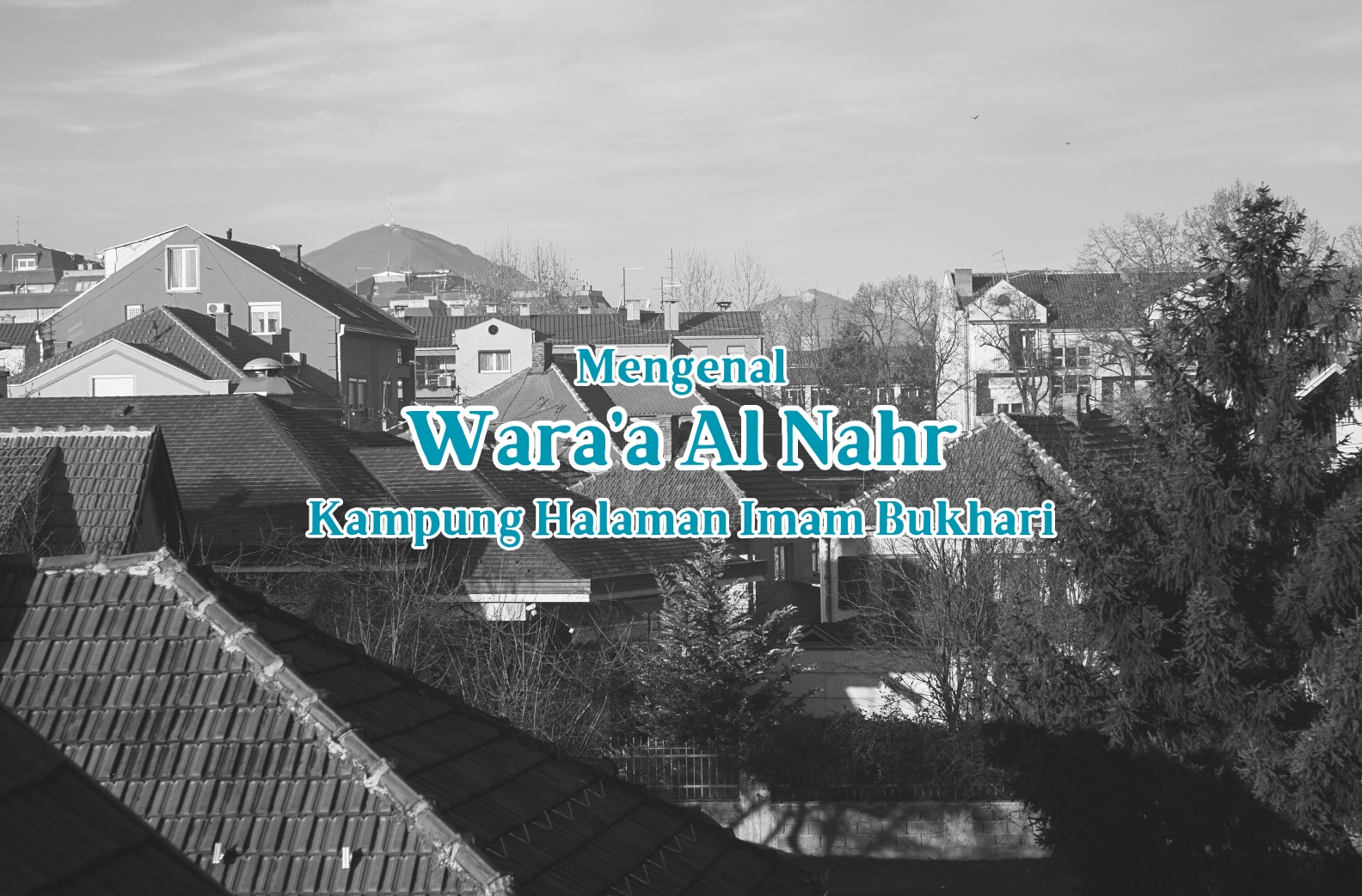 image-news